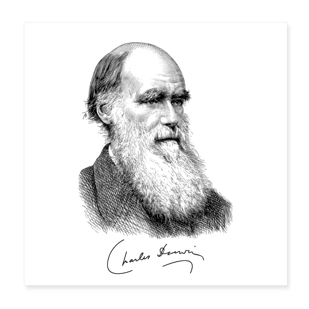 Poster DARWIN - Scientific Curiosity