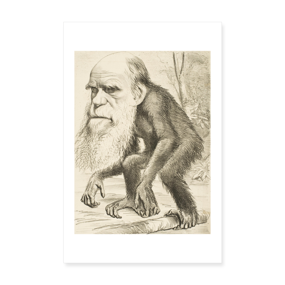 Poster Caricature Charles Darwin 20 x 30 cm - blanc