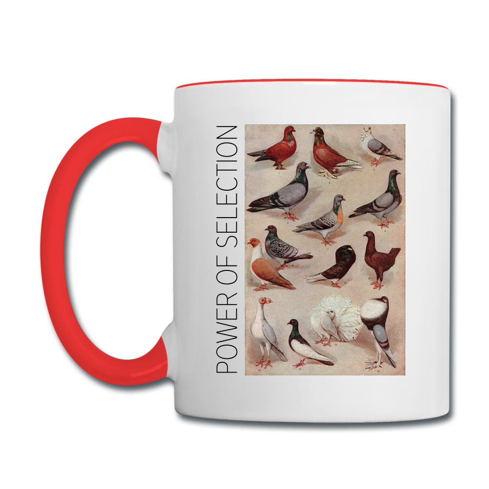 Mug Charles Darwin - blanc/rouge